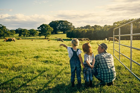 Ranch With Kids 466Px Ranch With Kids 466Px
