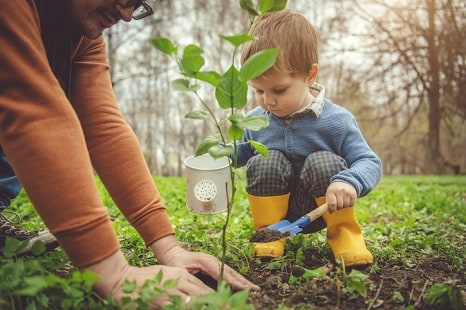 Planting Trees Planting Trees