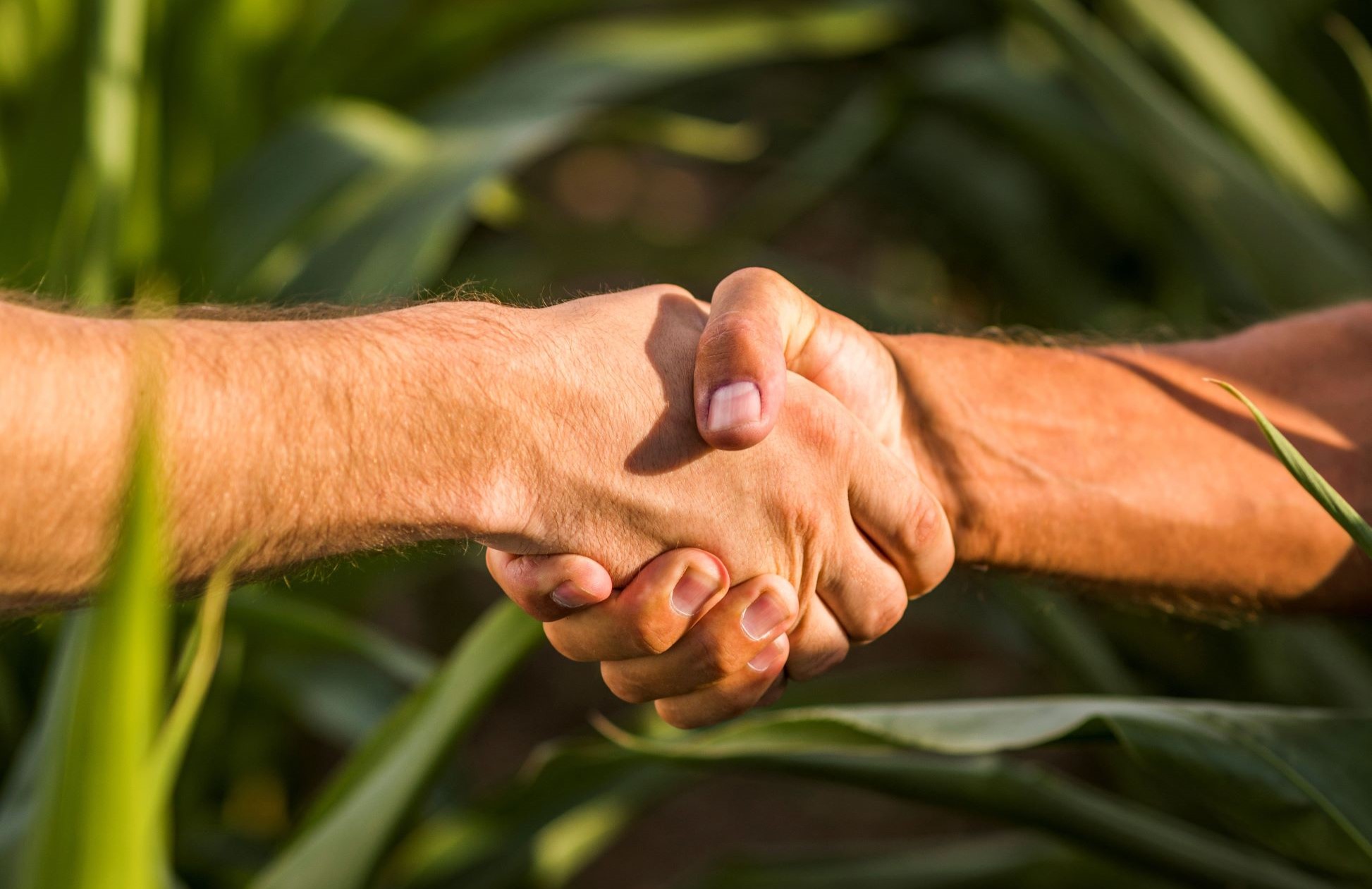 01 Handshake 01 Handshake